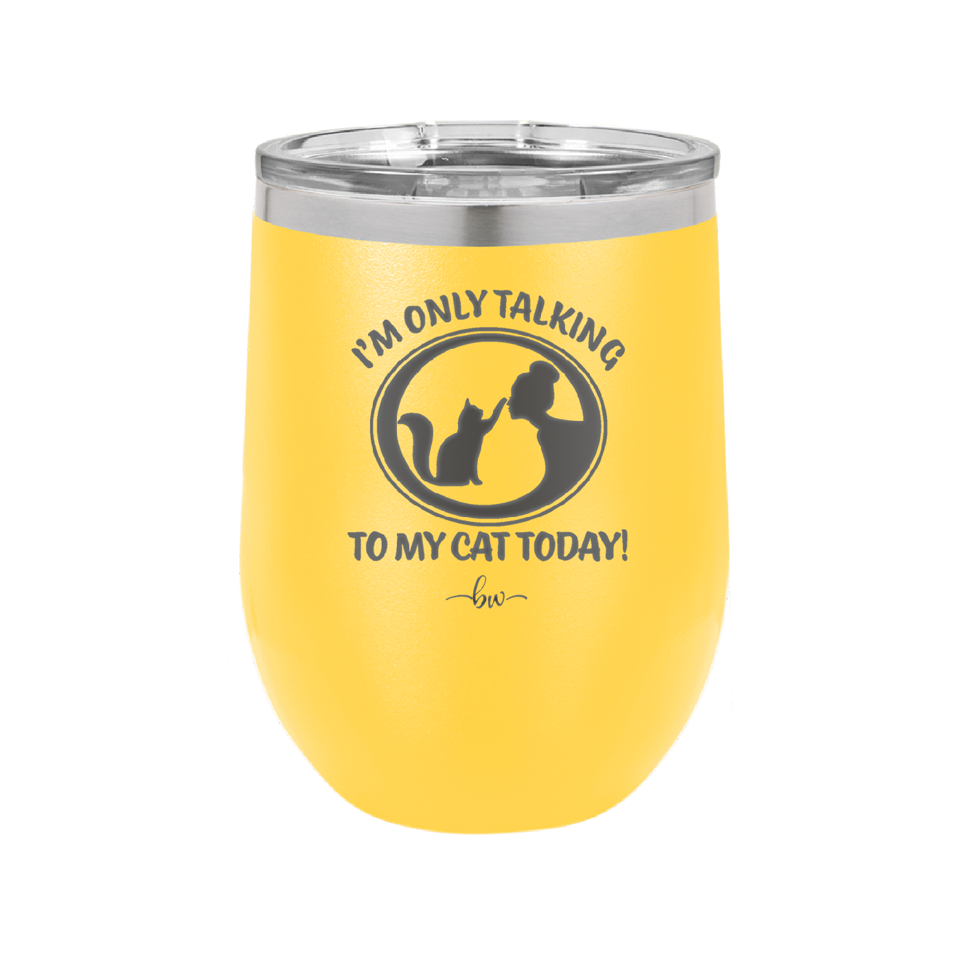 I'm Only Talking to My Cat Today - Laser Engraved Stainless Steel Drinkware - 1115 -