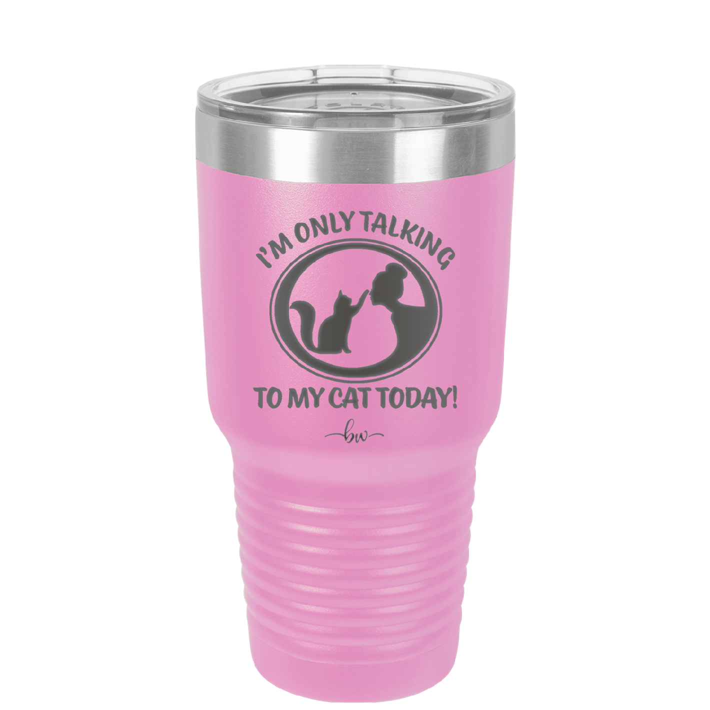 I'm Only Talking to My Cat Today - Laser Engraved Stainless Steel Drinkware - 1115 -