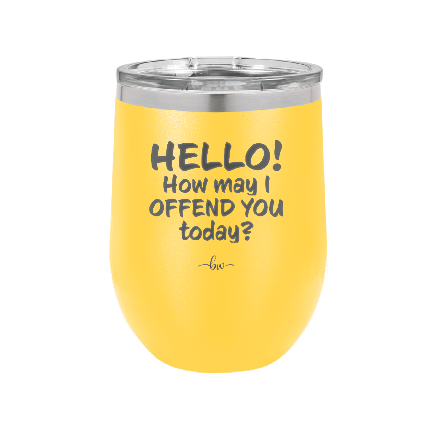 Hello How May I Offend You Today - Laser Engraved Stainless Steel Drinkware - 1257 -