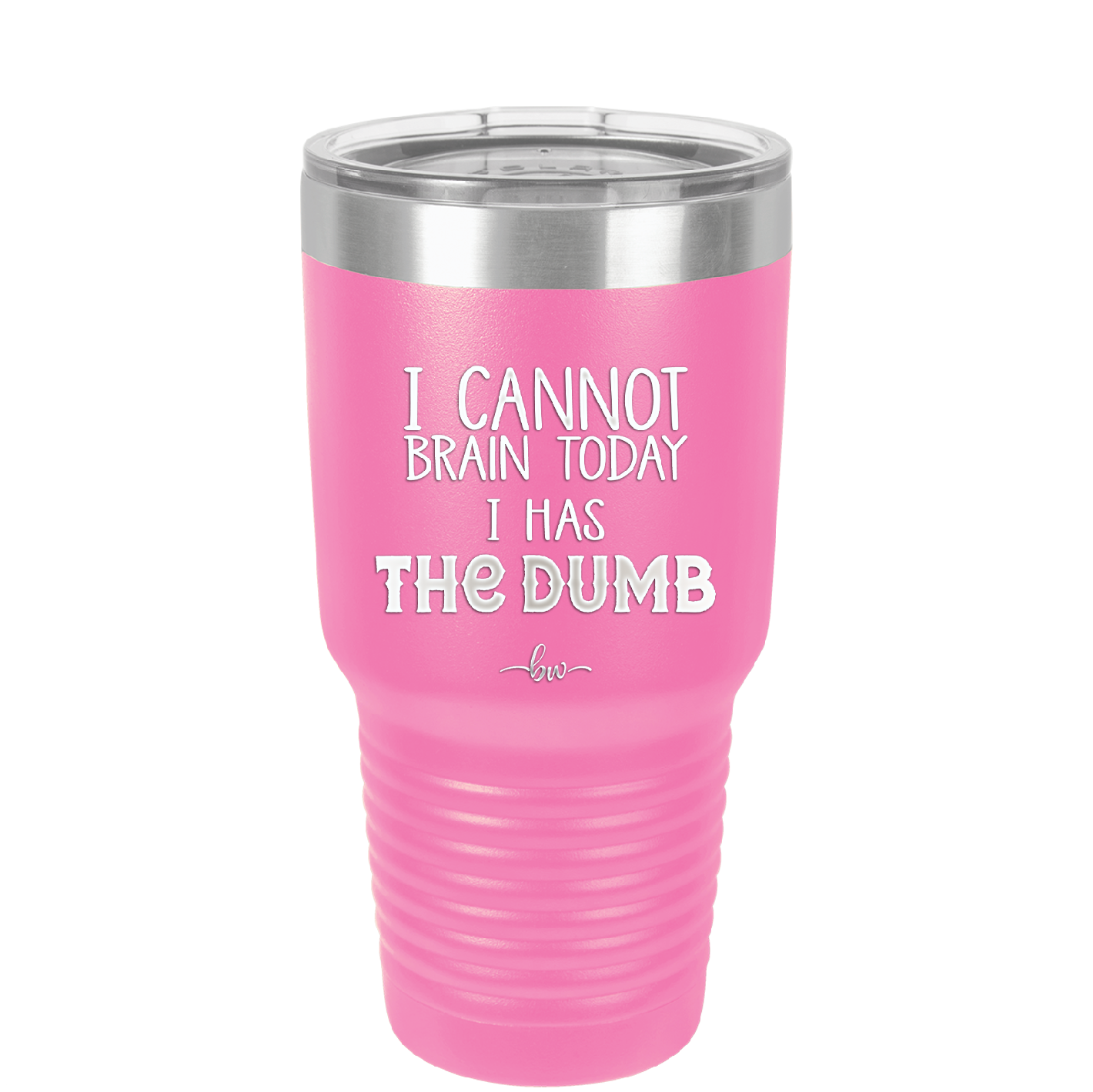 I Cannot Brain Today I Has the Dumb - Laser Engraved Stainless Steel Drinkware - 1850 -