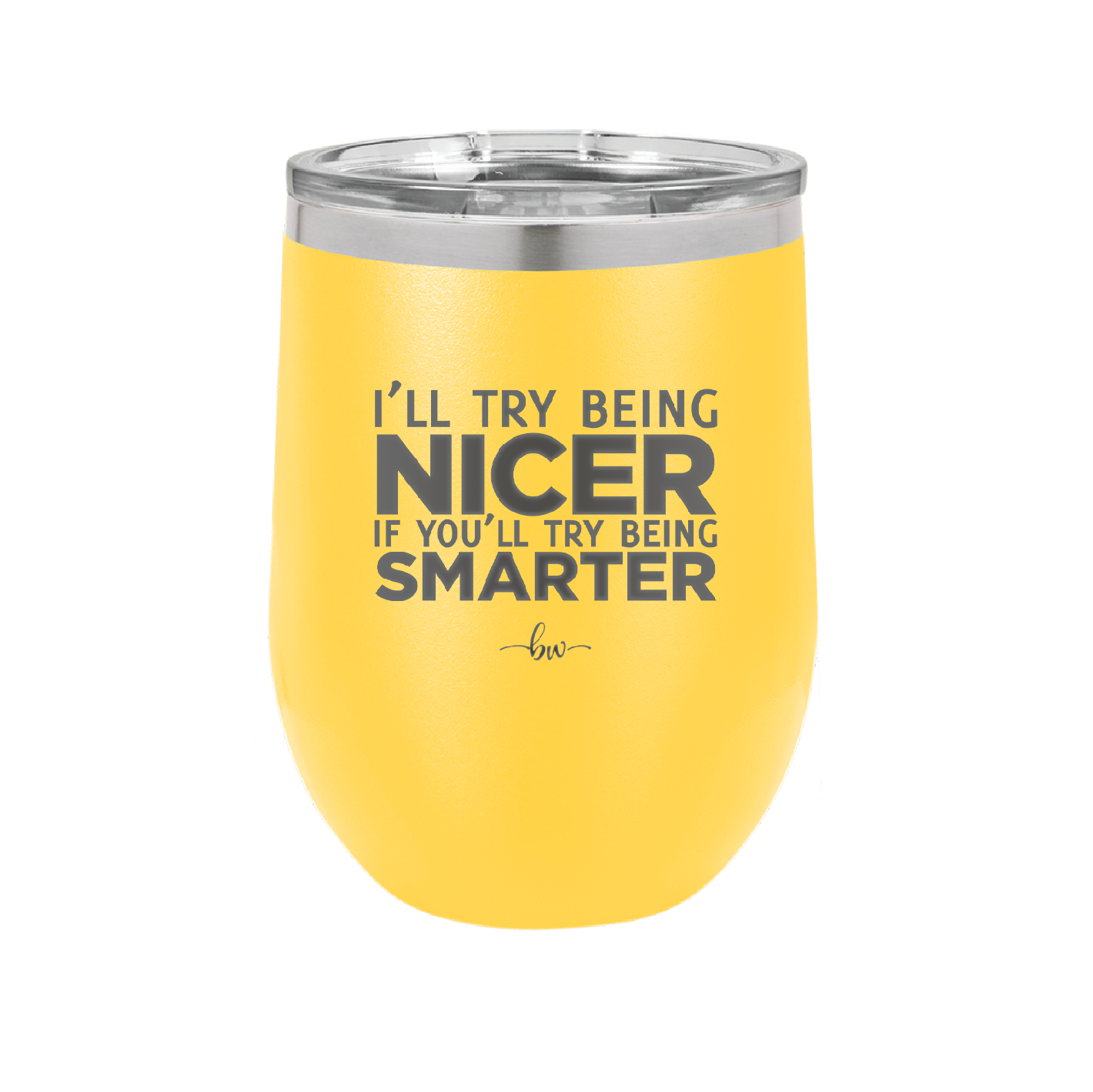 I'll Try Being Nicer if You'll Try Being Smarter - Laser Engraved Stainless Steel Drinkware - 2310 -