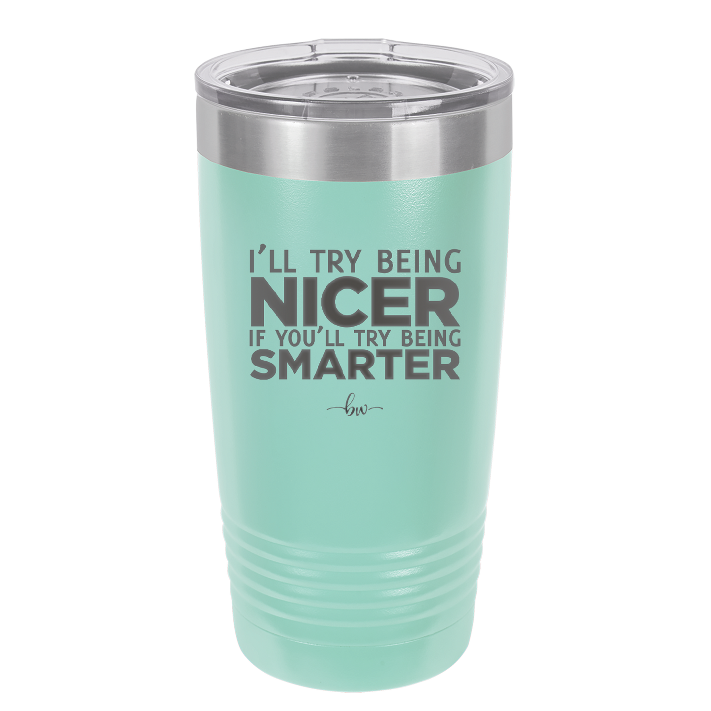 I'll Try Being Nicer if You'll Try Being Smarter - Laser Engraved Stainless Steel Drinkware - 2310 -
