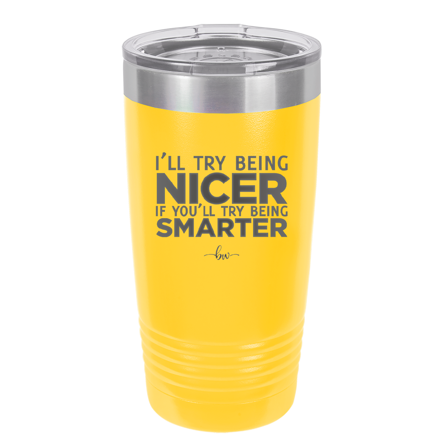 I'll Try Being Nicer if You'll Try Being Smarter - Laser Engraved Stainless Steel Drinkware - 2310 -