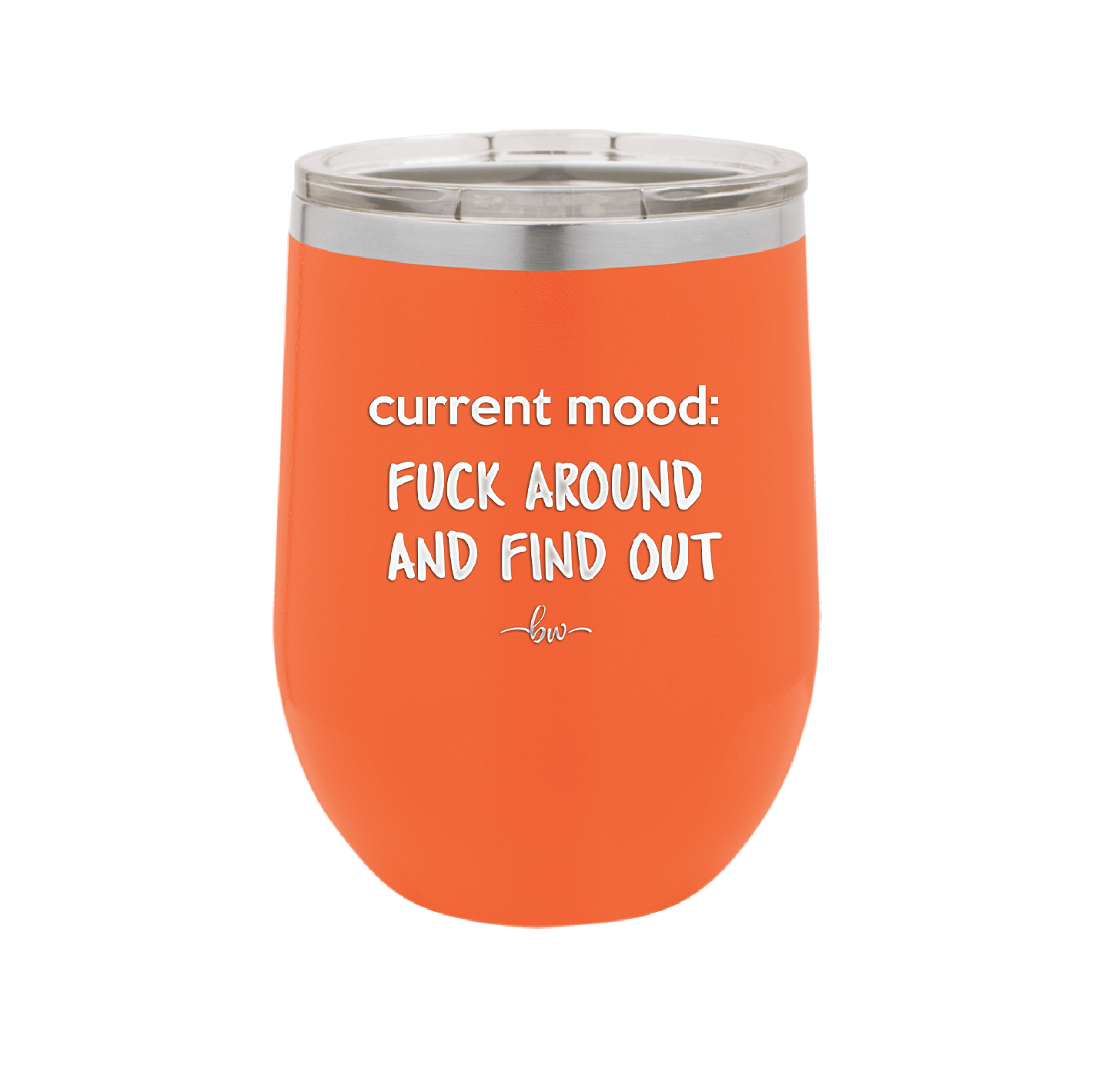 Current Mood: Fuck Around and Find Out - Laser Engraved Stainless Steel Drinkware - 2382 -
