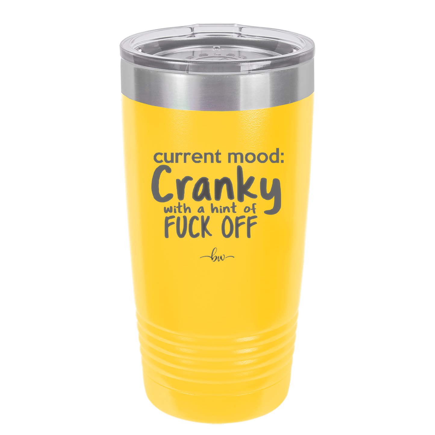 Current Mood: Cranky with a Hint of Fuck Off - Laser Engraved Stainless Steel Drinkware - 2383 -