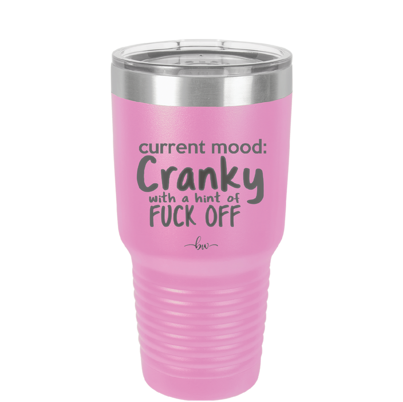 Current Mood: Cranky with a Hint of Fuck Off - Laser Engraved Stainless Steel Drinkware - 2383 -