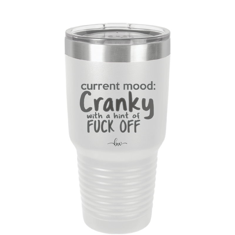 Current Mood: Cranky with a Hint of Fuck Off - Laser Engraved Stainless Steel Drinkware - 2383 -