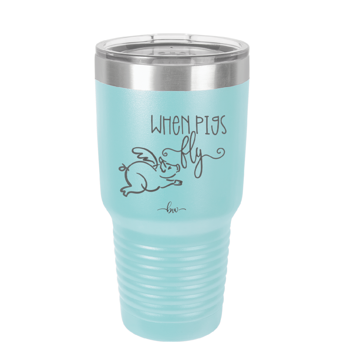 When Pigs Fly - Laser Engraved Stainless Steel Drinkware - 2401 -
