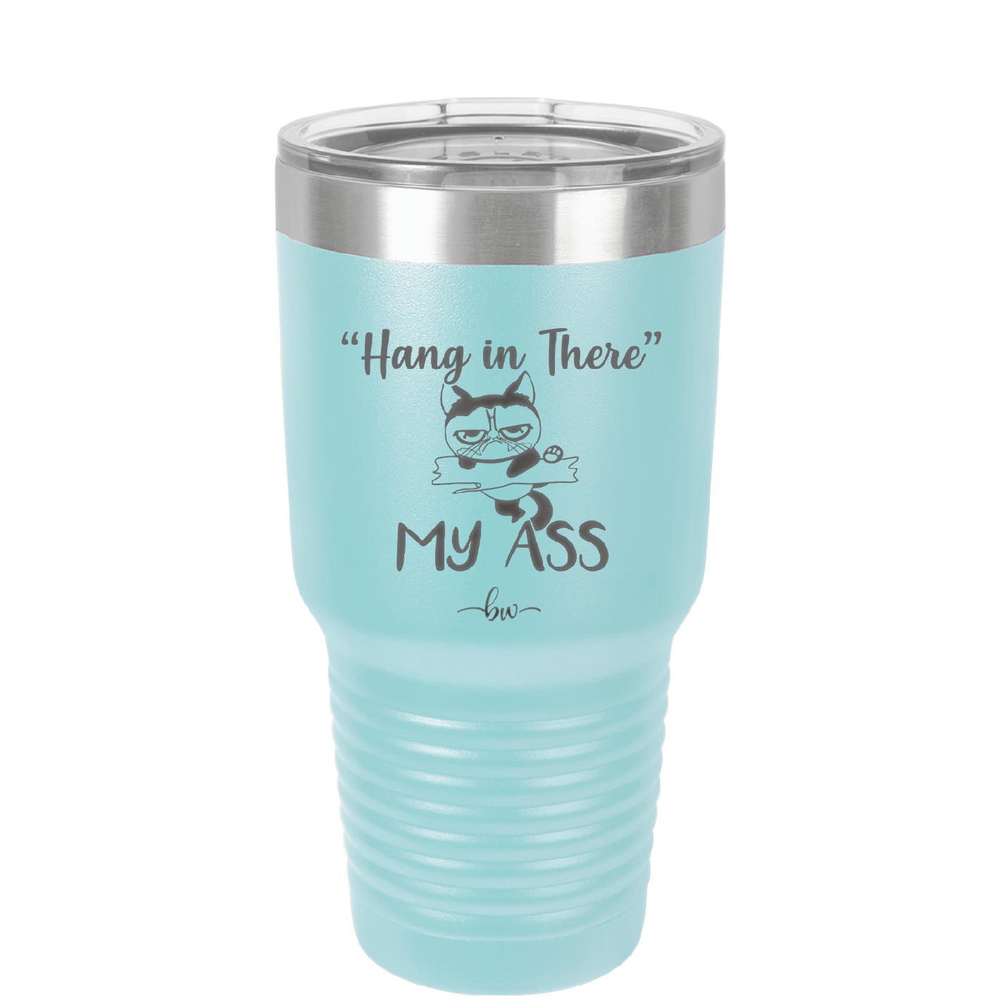 30 oz hang in there my ass tumbler in baby blue