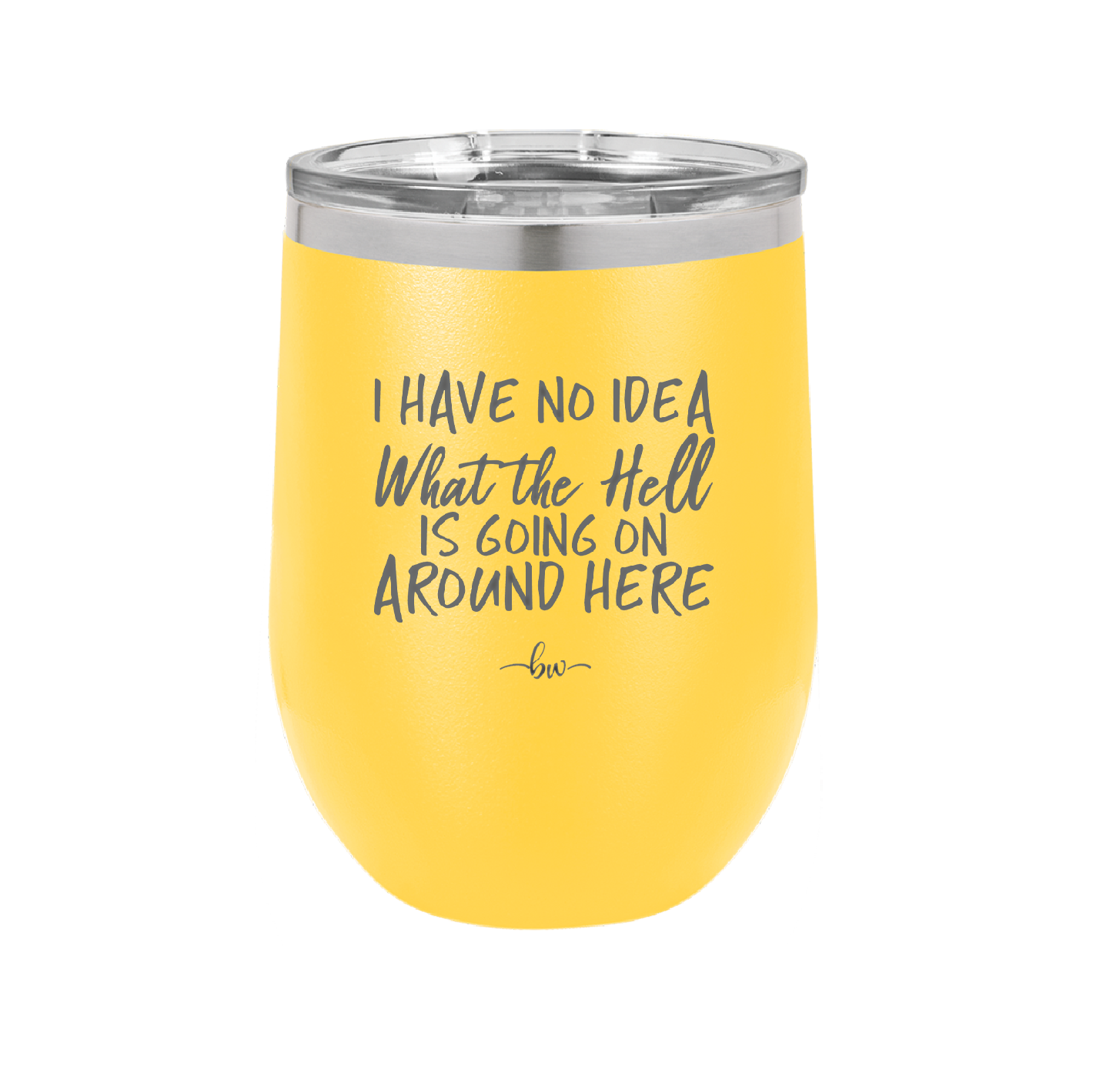I Have No Idea What the Hell is Going on Around Here - Laser Engraved Stainless Steel Drinkware - 2444 -