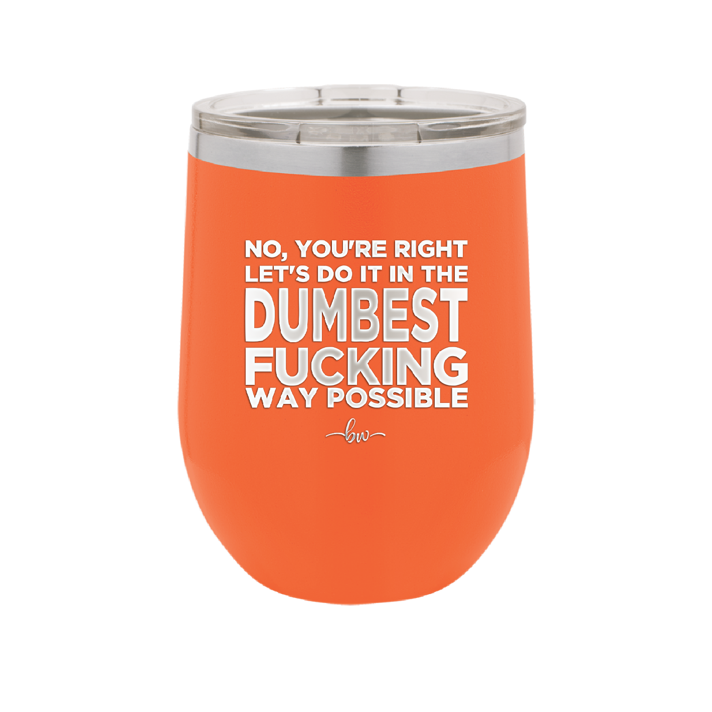 No You're Right Let's Do it in the Dumbest Fucking Way Possible - Laser Engraved Stainless Steel Drinkware - 2461 -