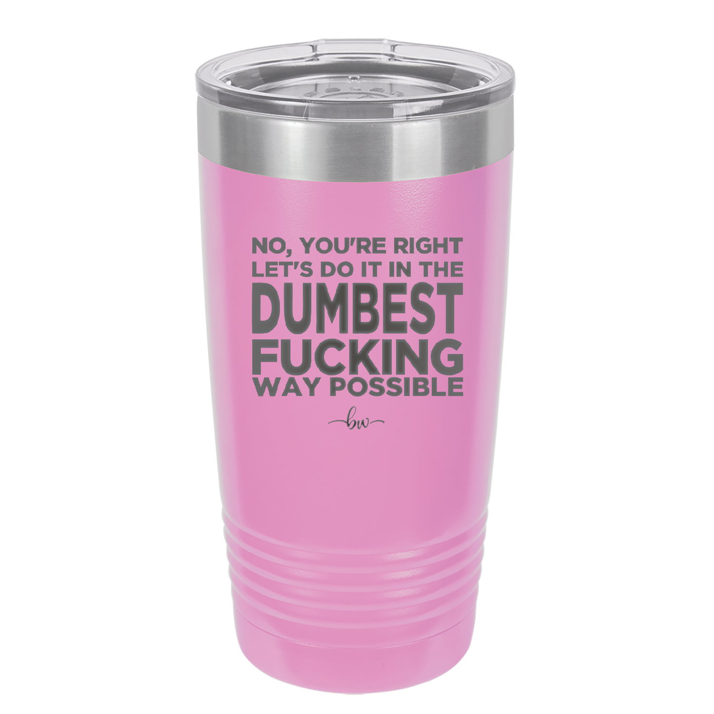 No You're Right Let's Do it in the Dumbest Fucking Way Possible - Laser Engraved Stainless Steel Drinkware - 2461 -