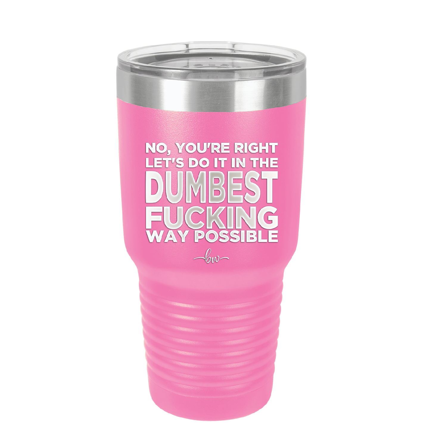 No You're Right Let's Do it in the Dumbest Fucking Way Possible - Laser Engraved Stainless Steel Drinkware - 2461 -