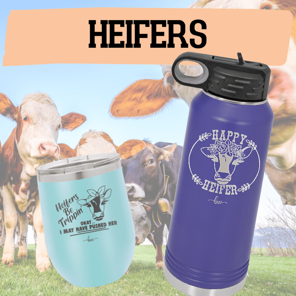 Heifers