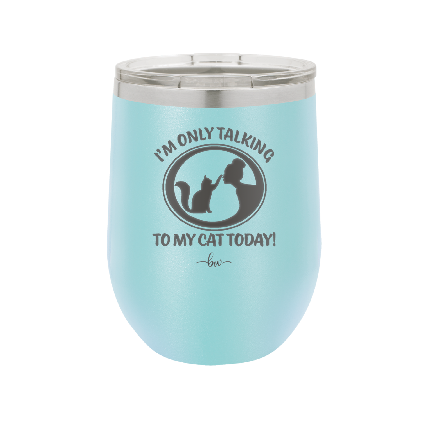 I'm Only Talking to My Cat Today - Laser Engraved Stainless Steel Drinkware - 1115 -