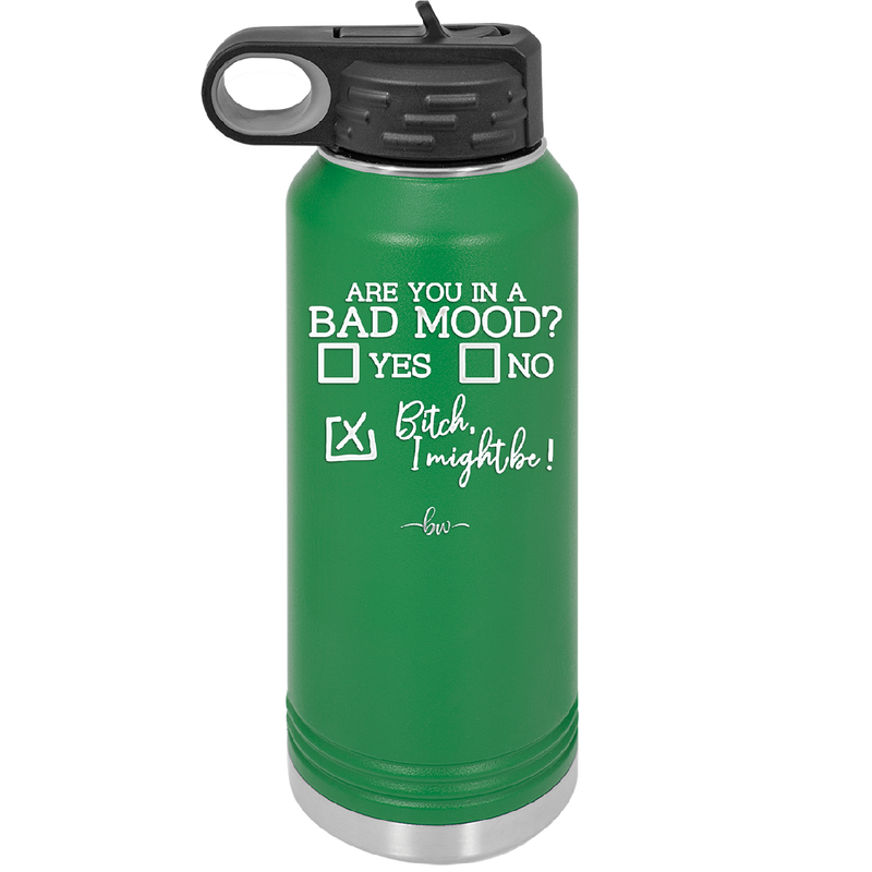 Are You in a Bad Mood Yes No Bitch I Might Be - Laser Engraved Stainless Steel Drinkware - 2207 -